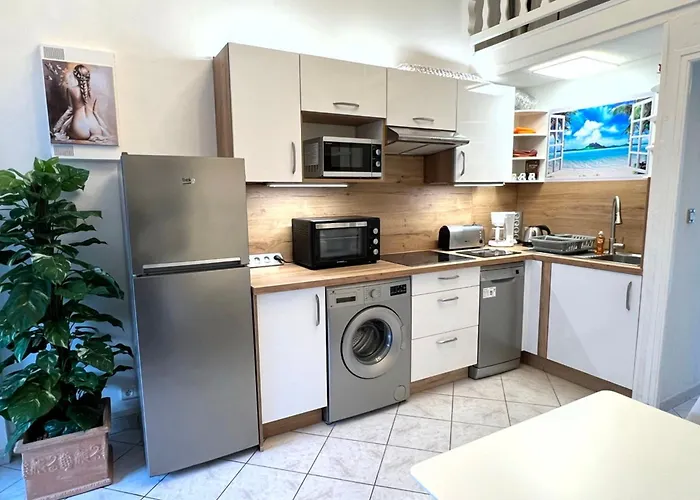 Naturiste Cap D'agde Heliovillage 12 阿格德